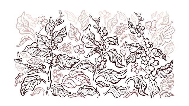 Premium Vector | plant art sketch branch leaves nature hand drawn botanical pattern