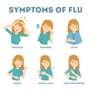 Premium Vector Cold Or Flu Symptoms Infographic Fever And Cough 