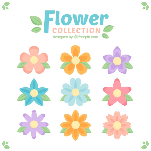 Free Vector | Colección de flores en colores pastel