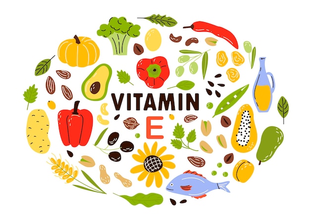 Premium Vector | Collect sources of vitamin e fruits and vegetables and  nuts. cartoon flat illustration isolated on white