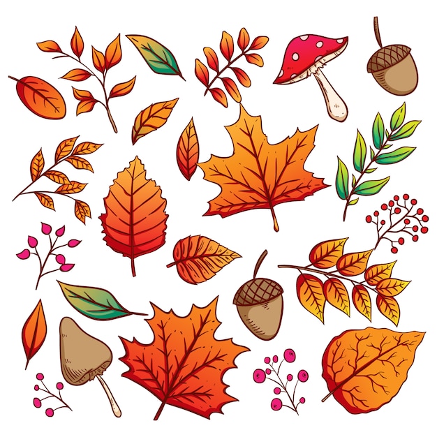 Collection of autumn leaves and acorns with colorful hand drawn style Premium Vector