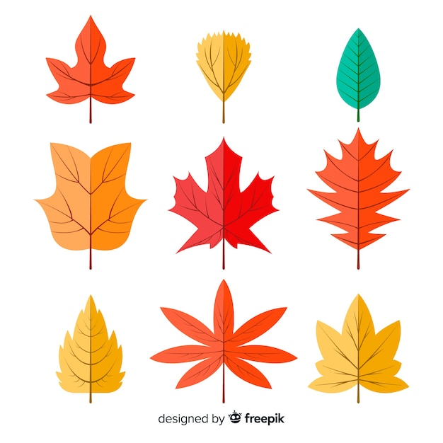 Free Vector | Collection of autumn leaves flat design