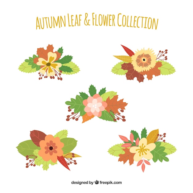 Collection of autumn leaves and flowers | Free Vector