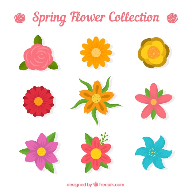 Free Vector | Collection of beautiful spring flowers