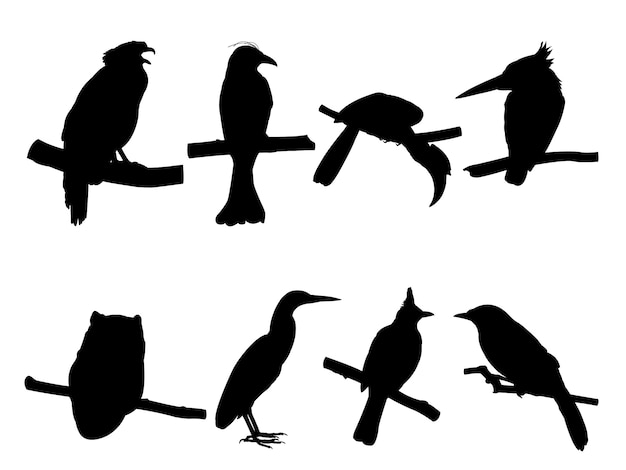 Premium Vector | Collection of bird on tree branch silhouettes.