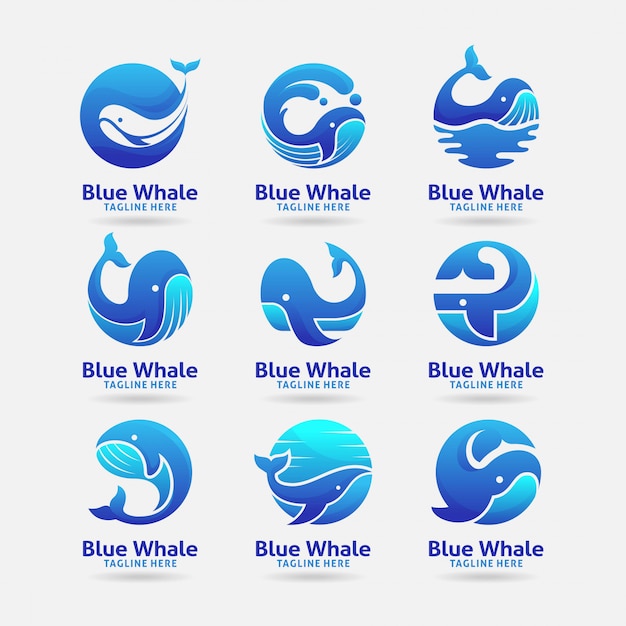 Whale Tail Images Free Vectors Stock Photos Psd