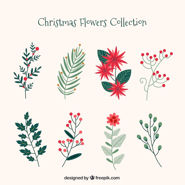 Free Vector Collection of christmas flowers