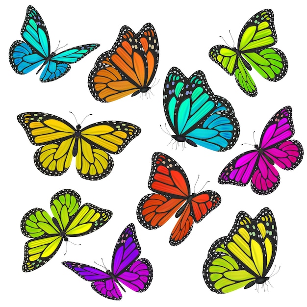 Premium Vector | Collection of colorful butterflies