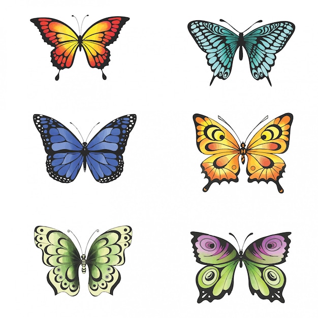 Download Collection of colorful butterfly style watercolor Vector ...
