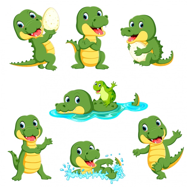 Premium Vector | Collection of cute alligator character cartoon