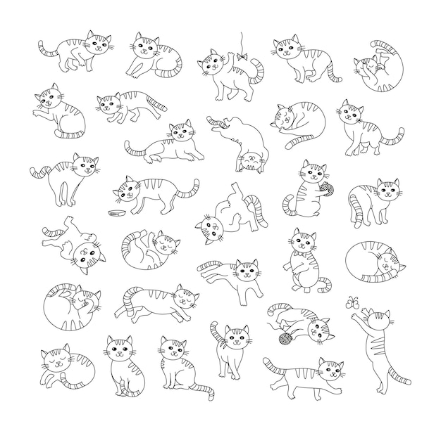 Premium Vector | A collection of cute cats in different poses