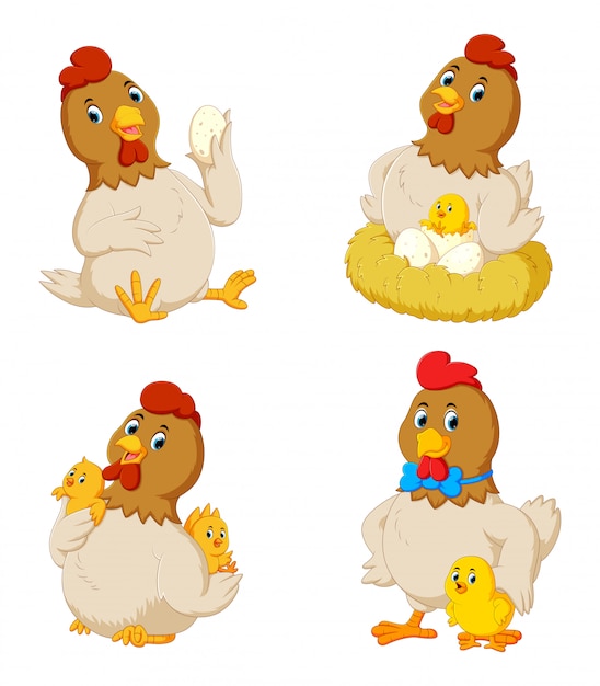 Collection of cute chicken with various posing Premium Vector