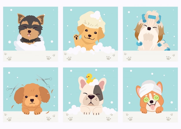 Premium Vector | The collection of cute dog with spa and salon theme in ...