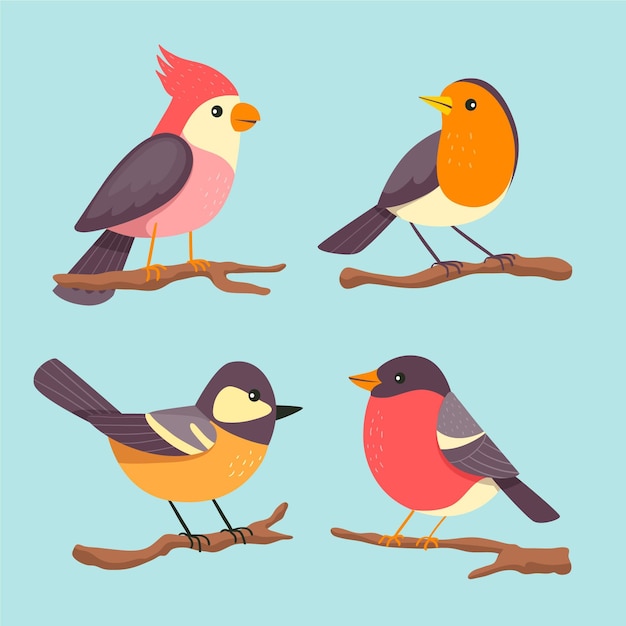 Free Vector | Collection of cute drawn birds