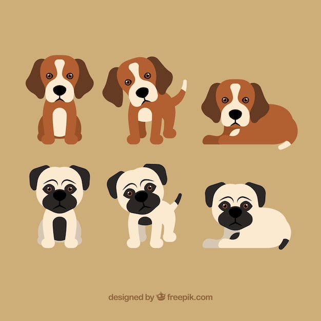 Download Collection of cute puppies | Free Vector