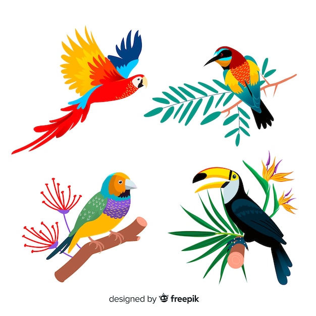 Download Free Parrot Images Free Vectors Stock Photos Psd Use our free logo maker to create a logo and build your brand. Put your logo on business cards, promotional products, or your website for brand visibility.