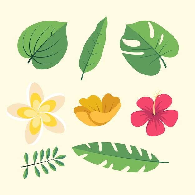 Collection of flower and leaf | Free Vector