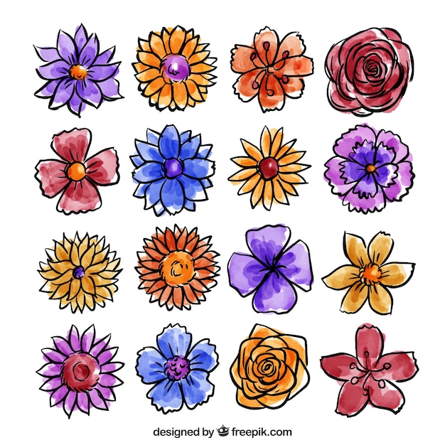 Free Vector | Collection of flowers painted with watercolor