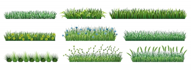 Download Collection green grass borders. fresh green grass isolated ...