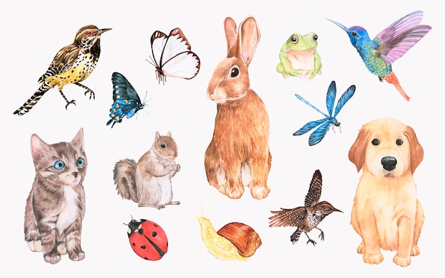 Collezione Di Animali Disegnati A Mano Vettore Gratis