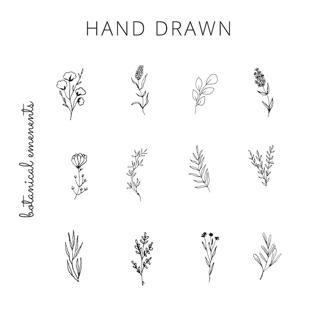 Download Premium Vector Collection Of Hand Drawn Botanical Logo Elements