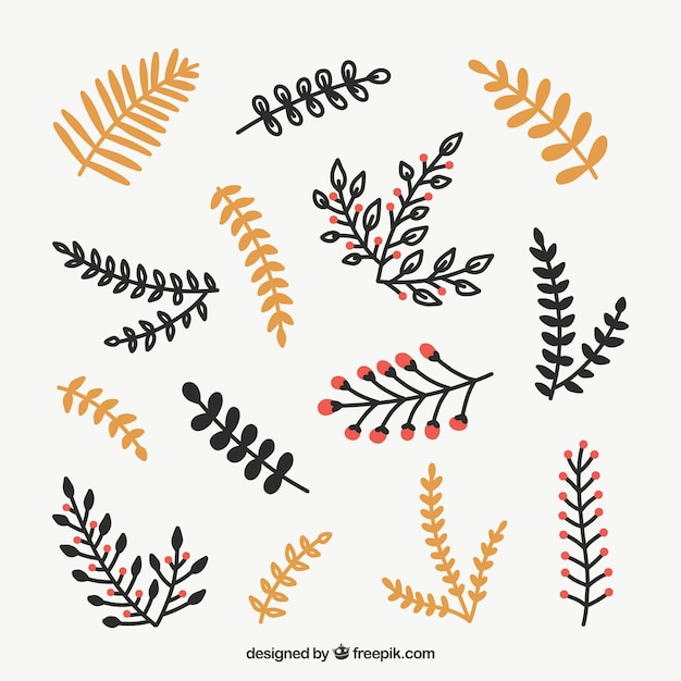 Download Collection of hand drawn christmas leaves | Free Vector