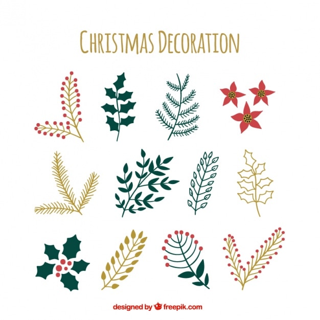 Collection of handdrawn christmas plants Vector Free Download