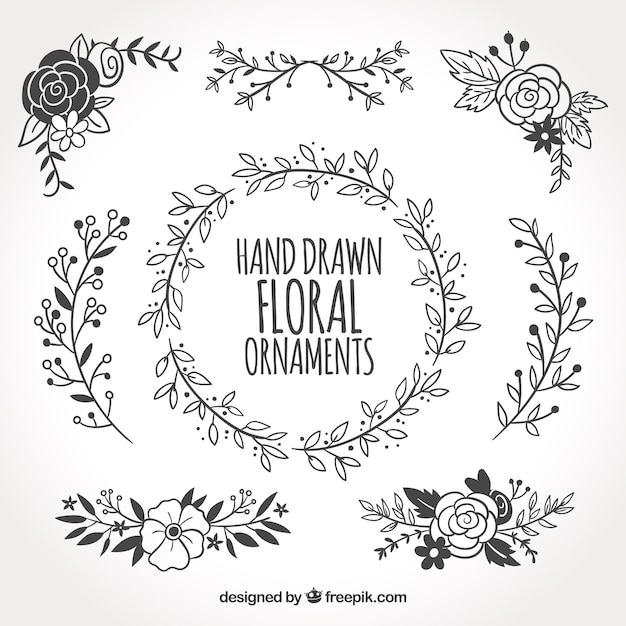 Download Collection of hand drawn floral ornaments Vector | Free ...