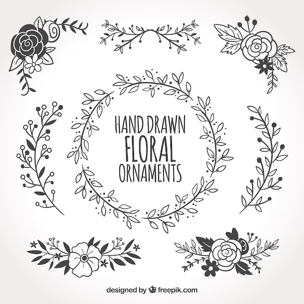 Download Collection of hand drawn floral ornaments Vector | Free Download