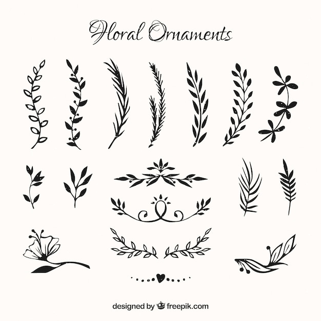 Download Collection of hand drawn flowers ornament Vector | Free Download