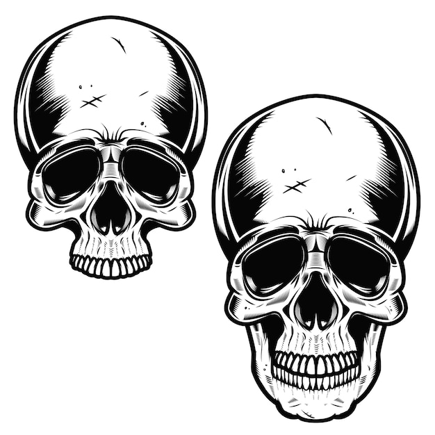 Premium Vector Collection Of Hand Drawn Skulls In Monochrome Skulls