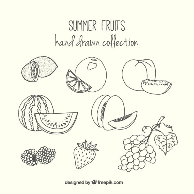 Premium Vector Collection of hand drawn summer fruit