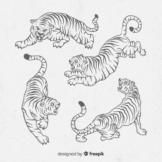 Free Vector | Collection of hand drawn tigers