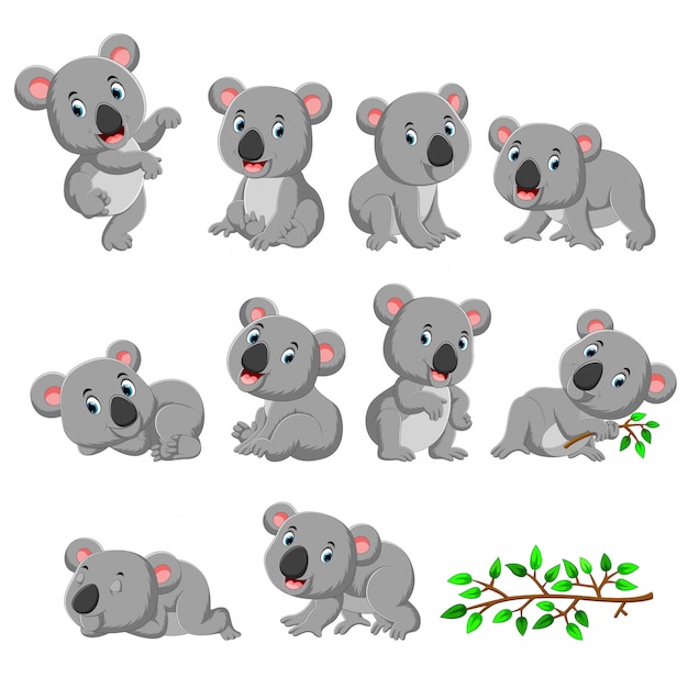 Collection of happy koala with various posing Premium Vector