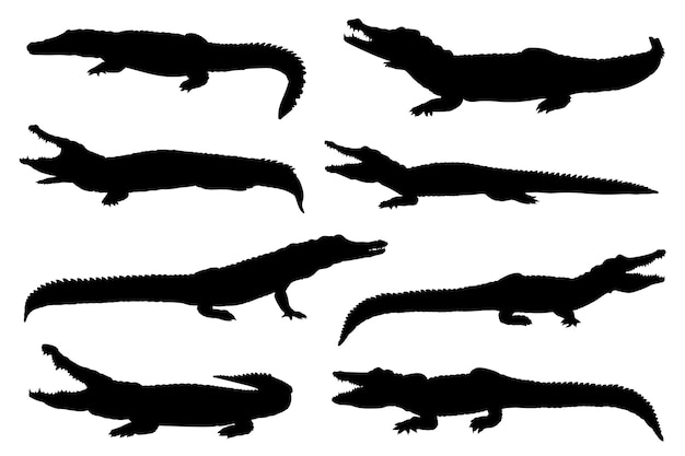 Premium Vector | Collection of isolated crocodile silhouettes in ...