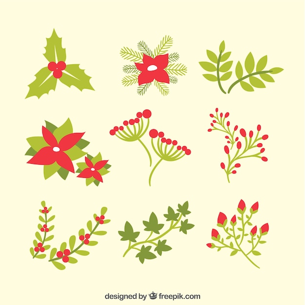 Premium Vector  Collection of lovely christmas flowers