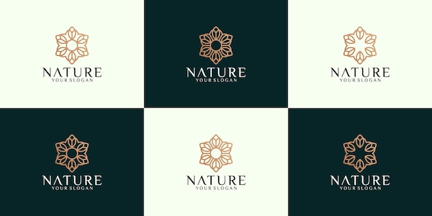 Premium Vector | Collection, luxurious flowers in line art style