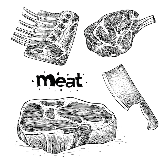 Premium Vector Collection of meat in hand drawn