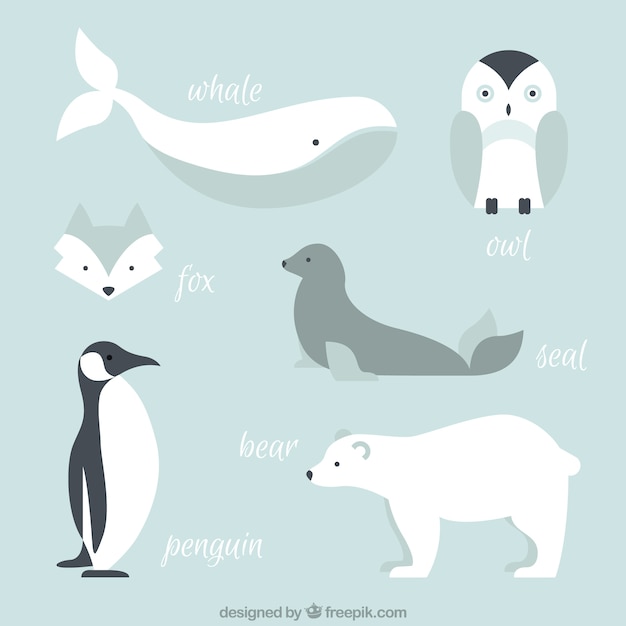 北極の動物のコレクション プレミアムベクター