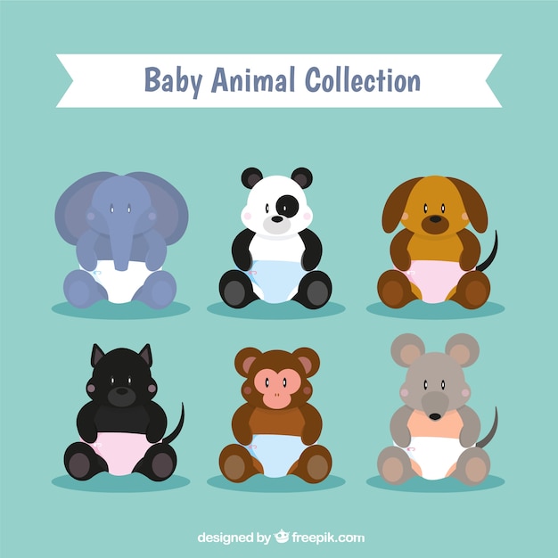 Collection of baby animals