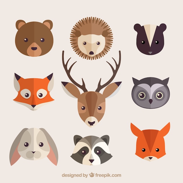 Collection of beautiful forest animals in flat design Vector | Free ...