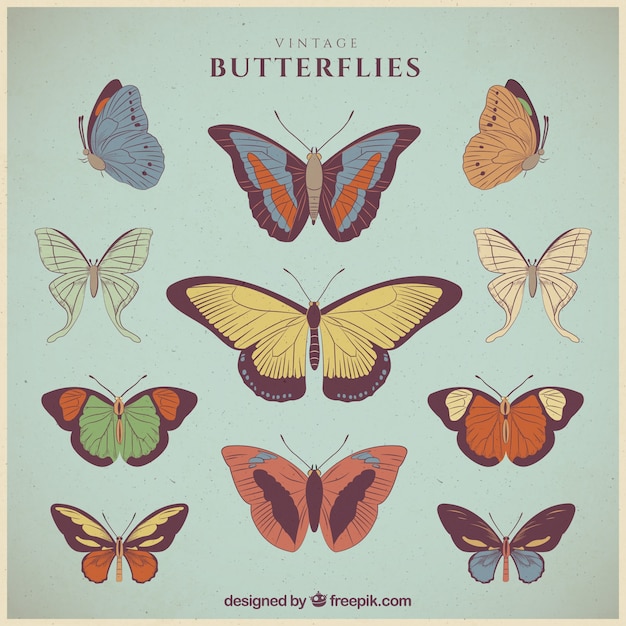 Collection of beautiful retro hand drawn\
butterflies