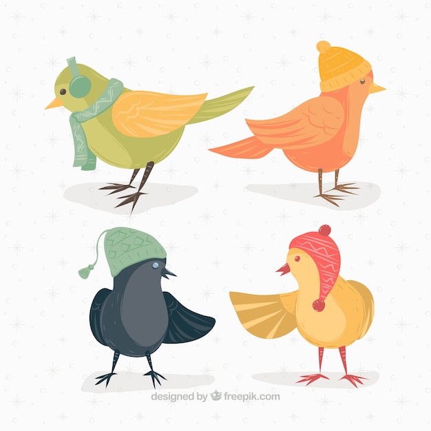 Collection of birds with winter
accessories