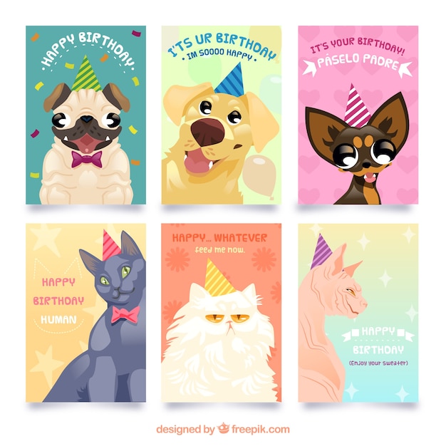 Collection of birthday cards with pet