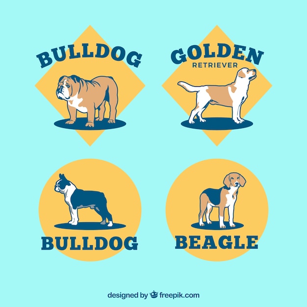 Collection of breed dogs