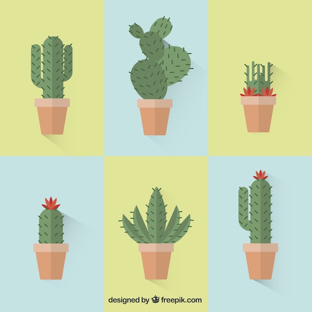 Free Free 125 Cactus Flower Svg Free SVG PNG EPS DXF File