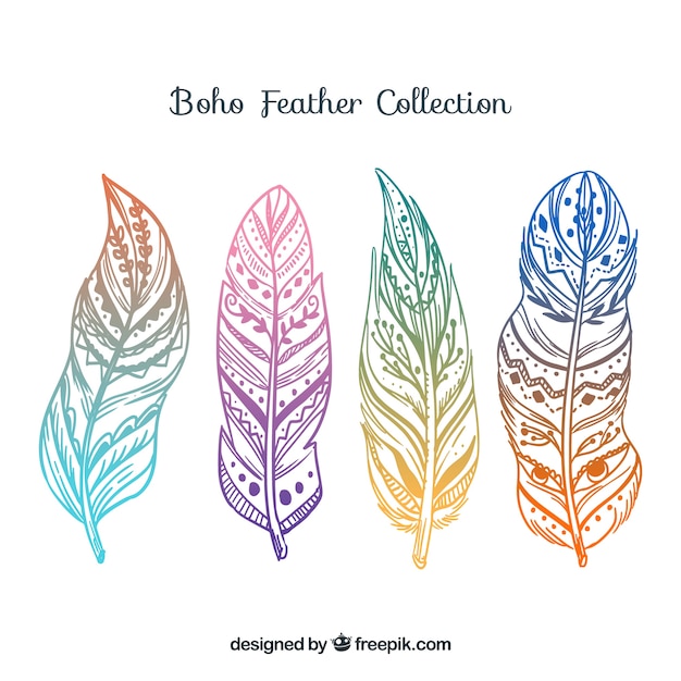 Download Collection of colored boho feathers Vector | Free Download