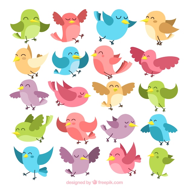 Collection of colorful birds