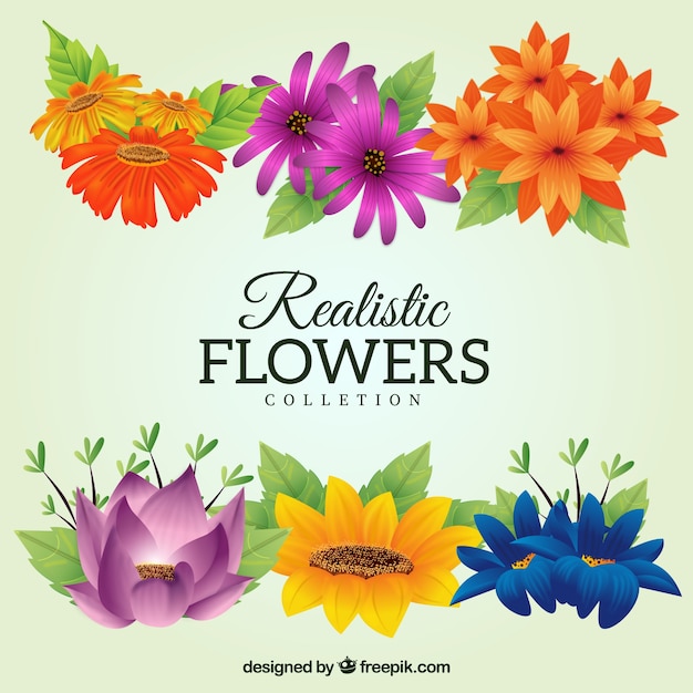 Collection of colorful flowers in realistic\
style