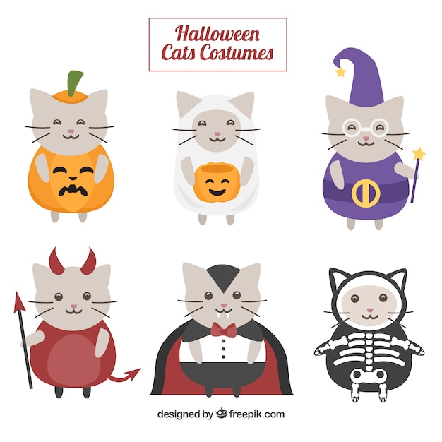 Collection of cute cat disguised as\
halloween